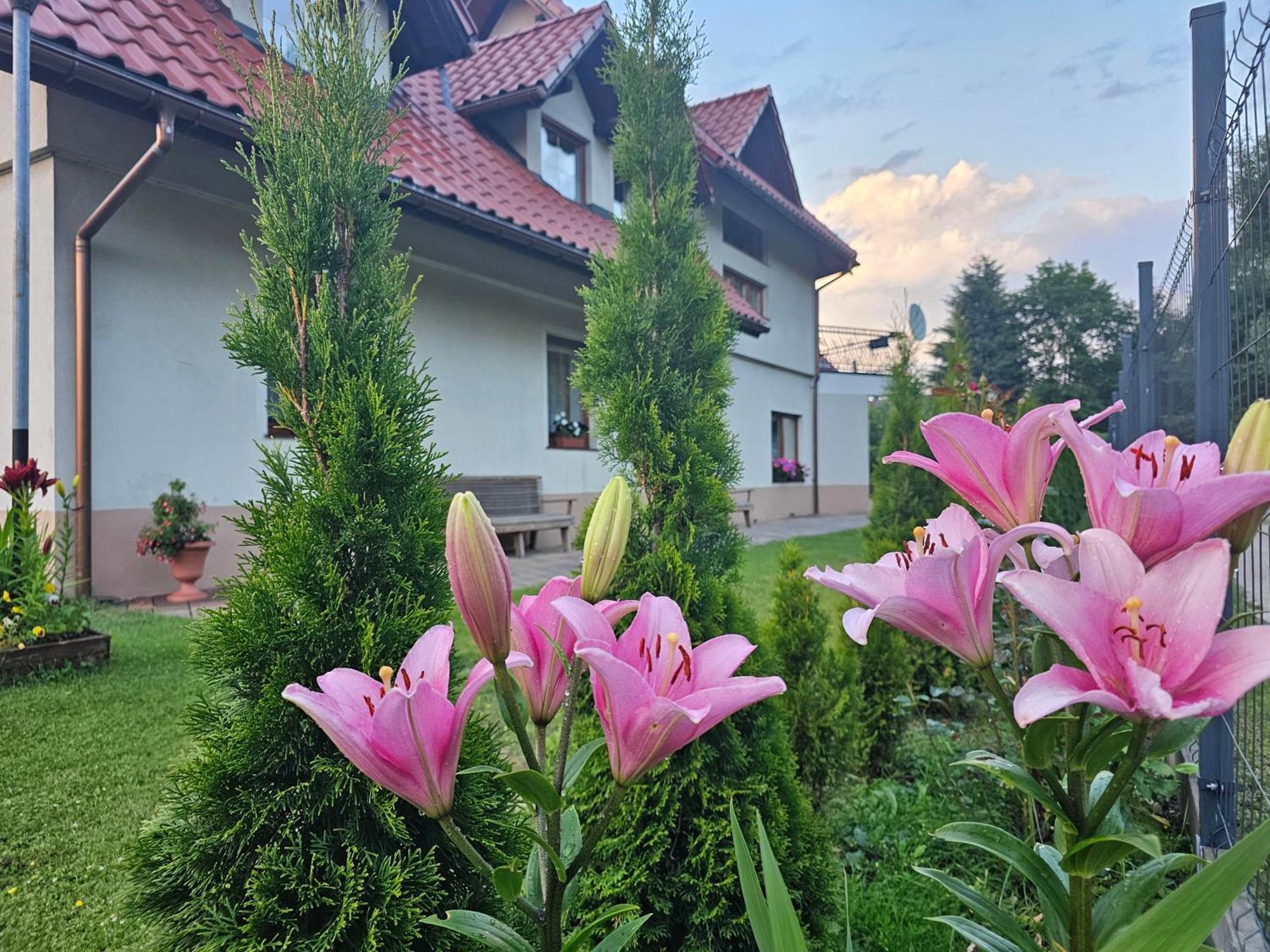 Dom Wypoczynkowy Beskidy Wegierska Gorka Zewnętrze zdjęcie